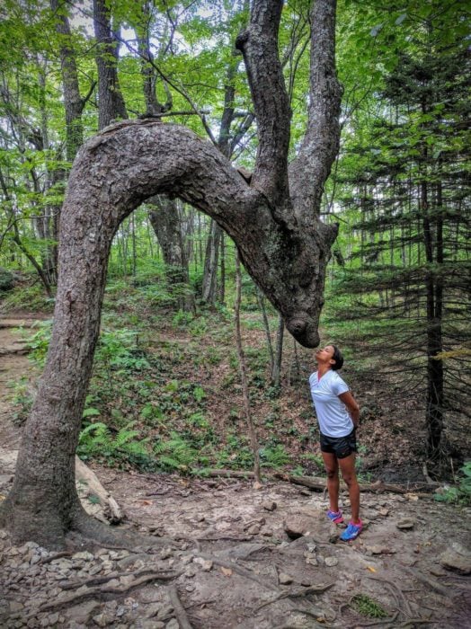 beso a un arbol