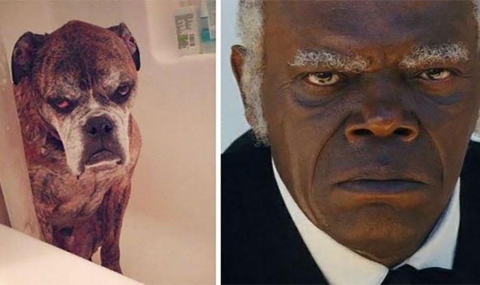 samuel l jackson