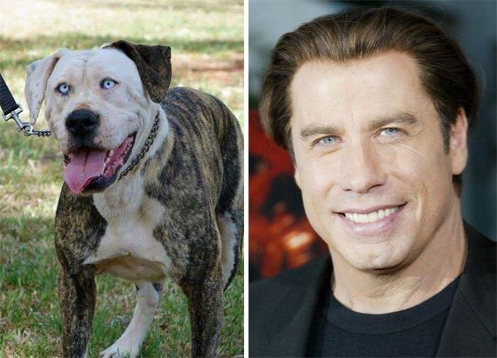 travolta