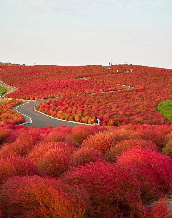 parque hitachi