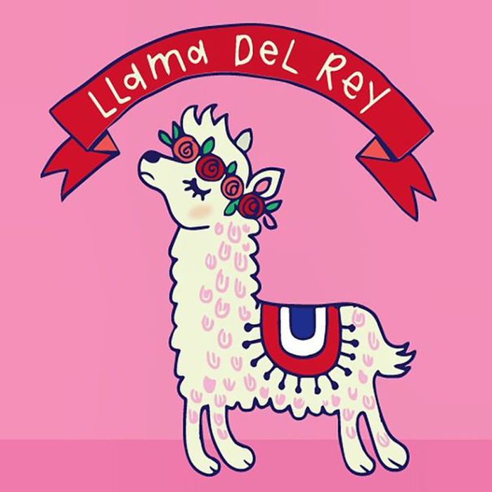 ilustración de una llama