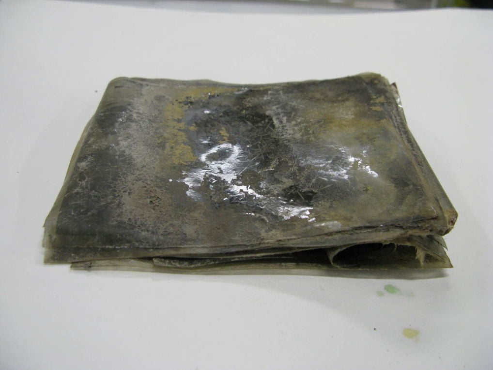 Encuentran fotografías con 100 años de antigüedad; revelan tesoro histórico de la Antártida