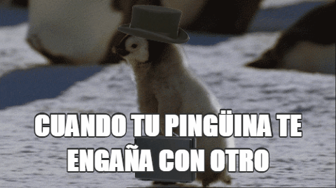 pingüino con sombrero