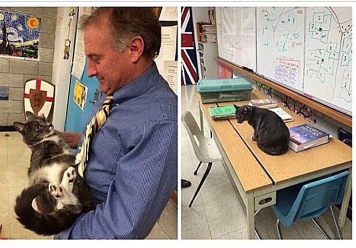 profesor cargando un gato