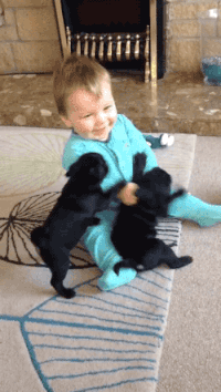 bebé y cachorros 