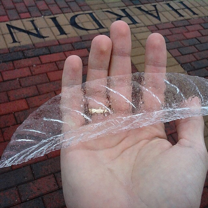 hielo en forma de hoja