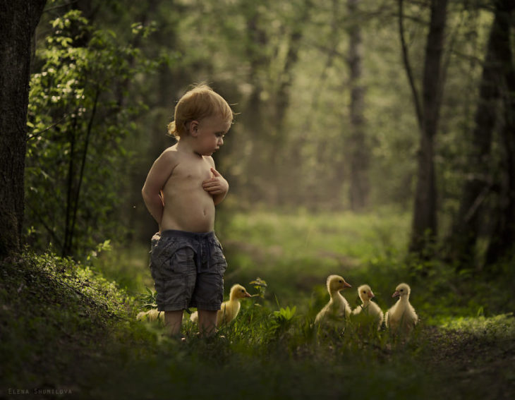 niño con patos