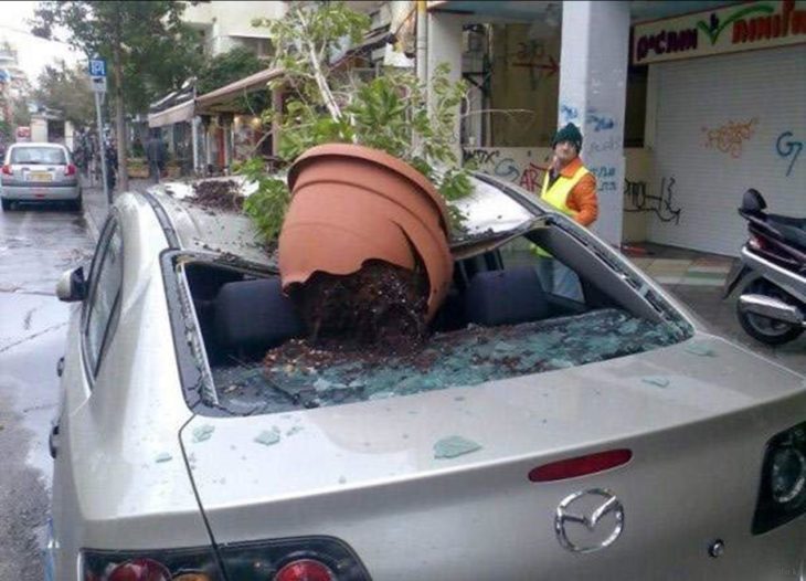 maceta estrellada en un coche