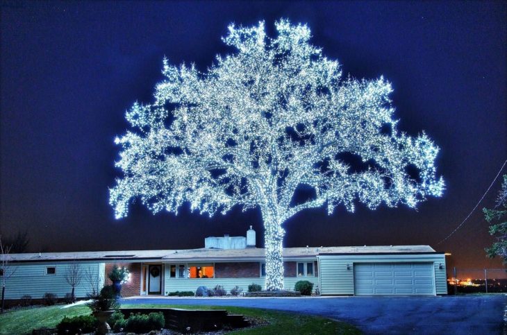 Árbol iluminado con LEDS