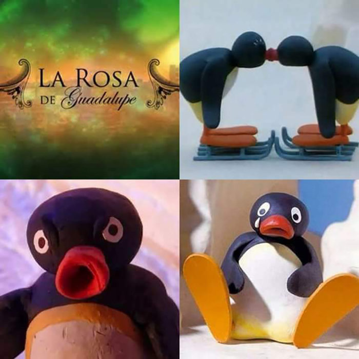 meme pingüinos, rosa de guadalupe