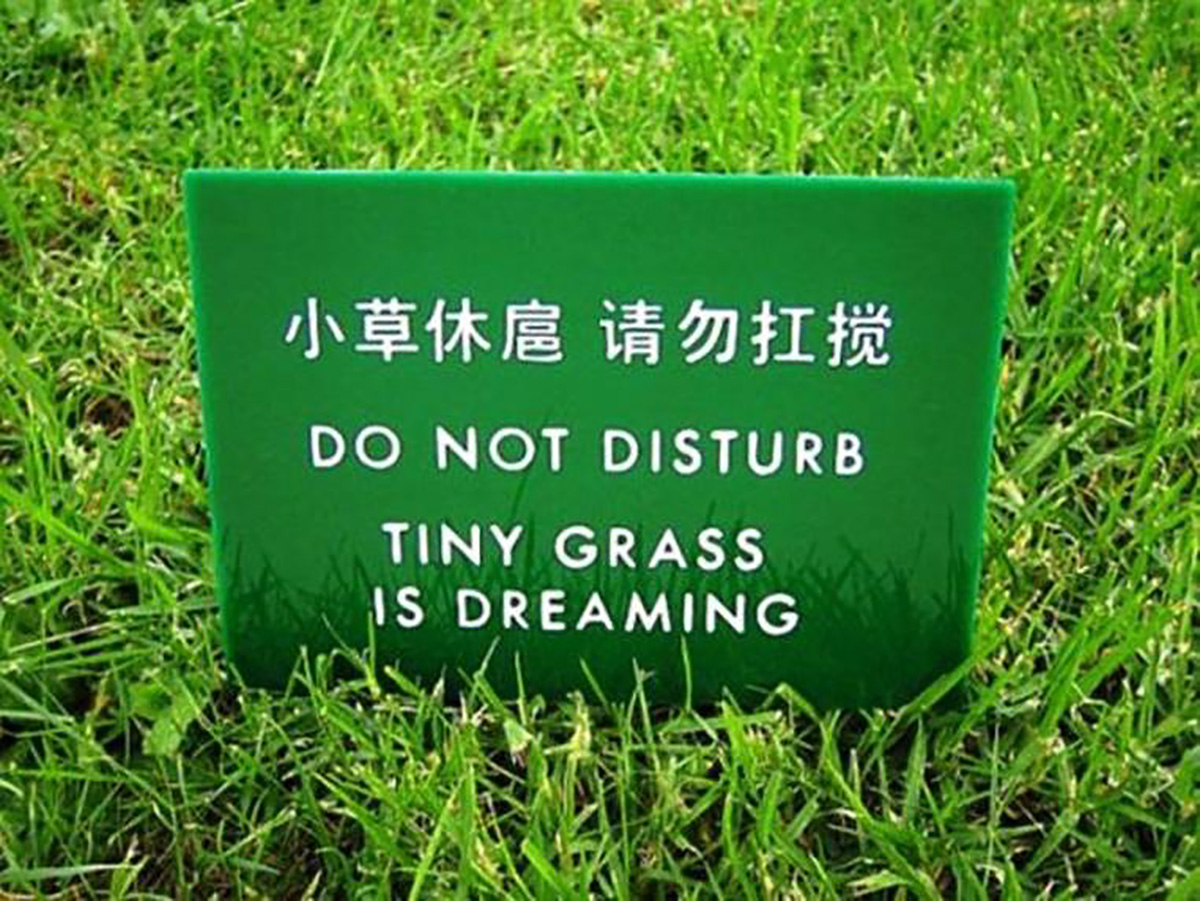 Image result for bad chinese translations to english