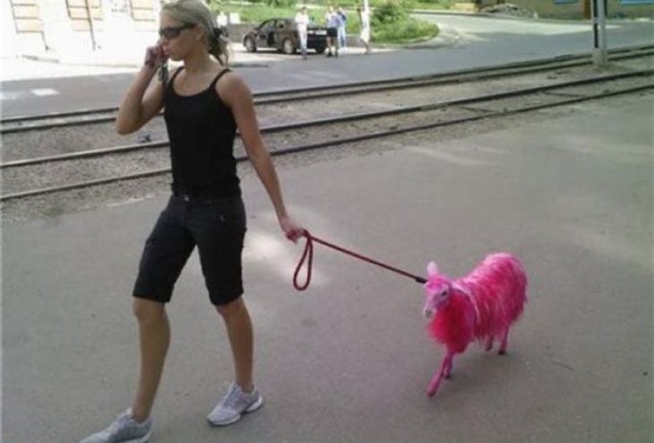 mujer con una oveja rosa