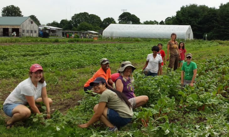 personas en un campo