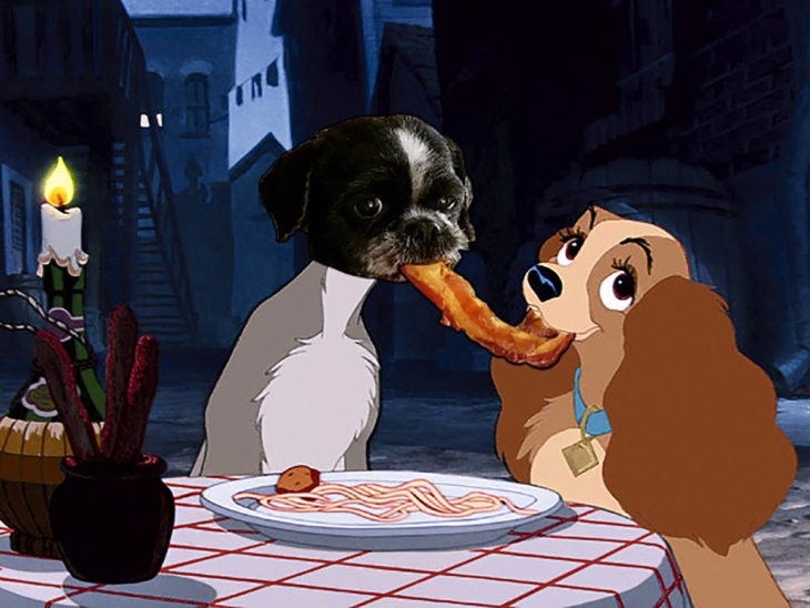 perro photoshop comiendo tocino como la dama y el vagabundo