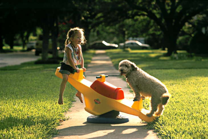 niña jugando con un perro 