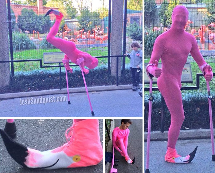 hombre disfrazado de flamingo