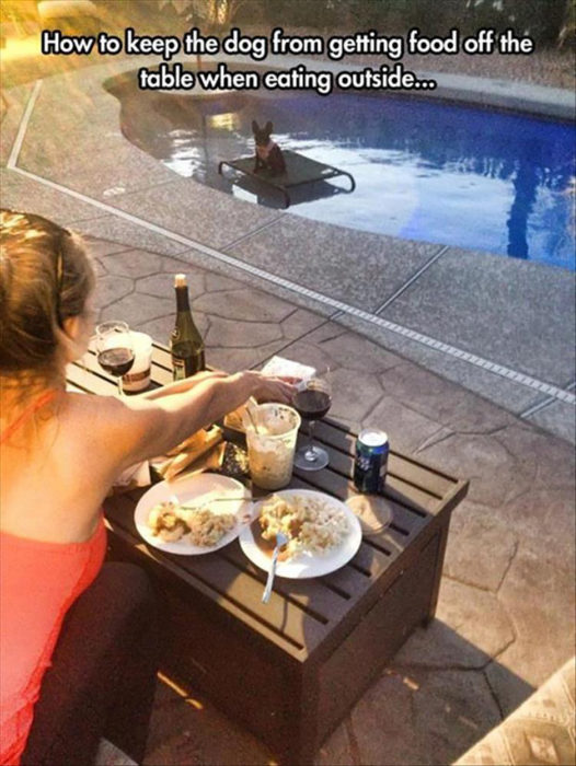 mujer con mesa y comida y perro en medio de la piscina