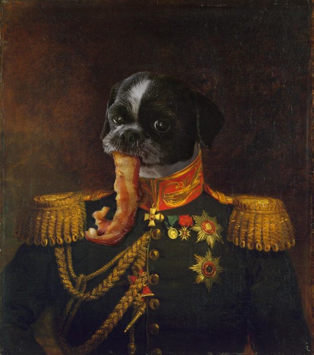 photoshop perro comiendo tocino soldado condecorado