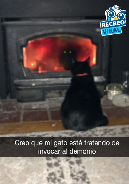 gato negro frente a chimenea 