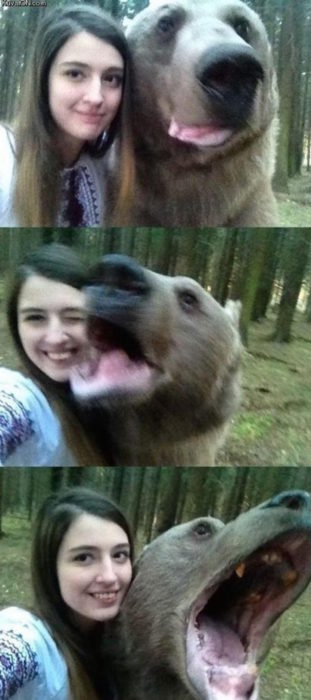 muchacha se toma selfies con osos