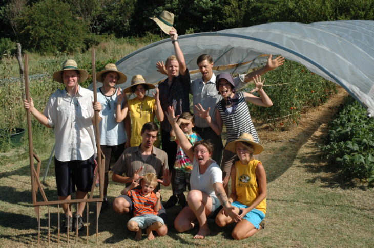 voluntarios en una granja 