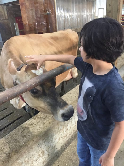 niño con cabeza de vaca