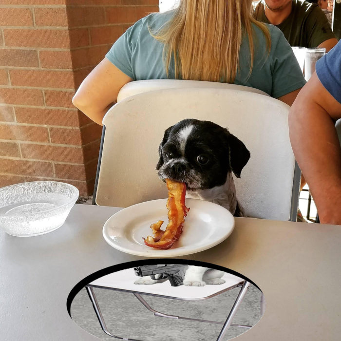 photoshop perro comiendo tocino y pistola debajo de la mesa
