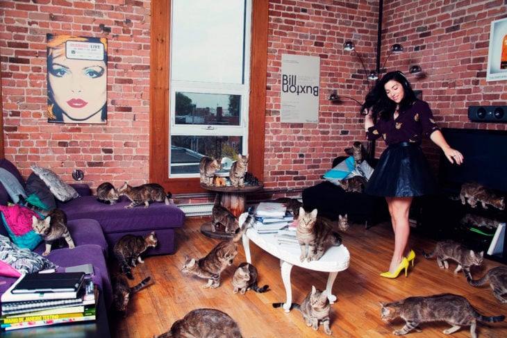 Joven en la sala de su casa junto a los gatos 