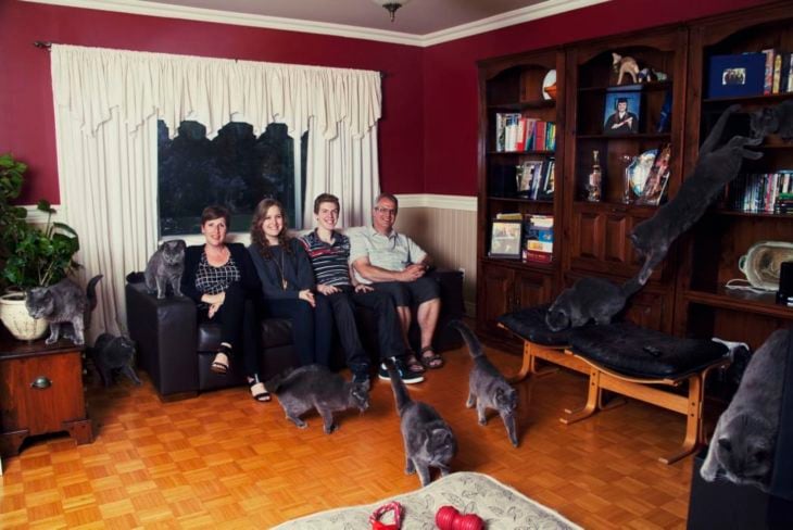 Una familia en la sala de la casa junto a los gatos