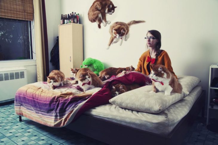 Una muchacha con muchos gatos en el cuarto 