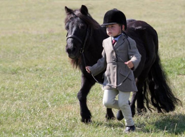 Joven jinete junto a su caballo miniatura 