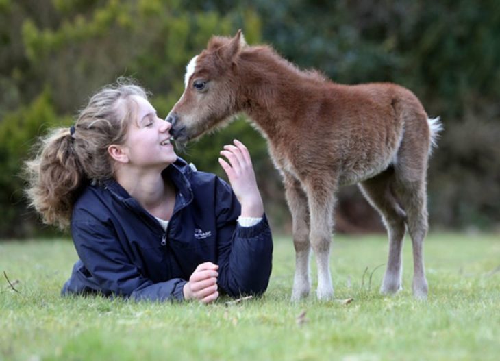 Chica besando a su caballo miniatura 