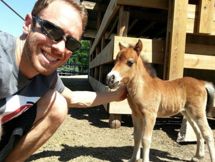 Un chico junto a su caballo miniatura 