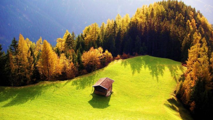 Casa en medio del pasto y el vacío 