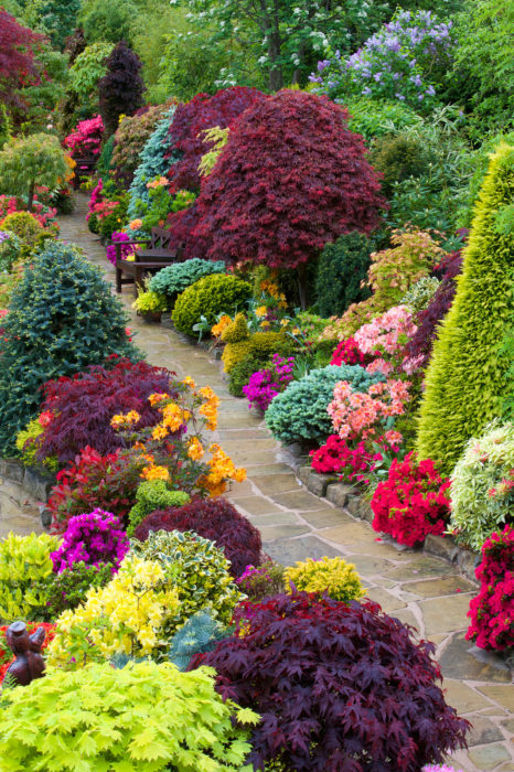 camino en jardín