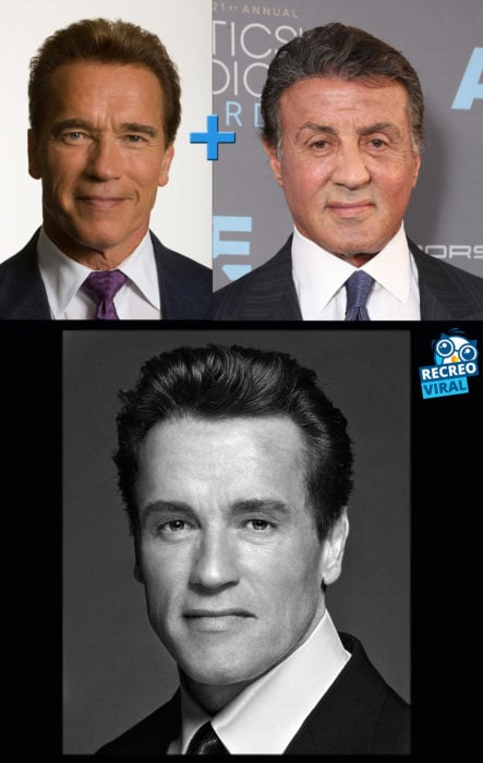 Celebridades fusionadas - Silvester y Arnold