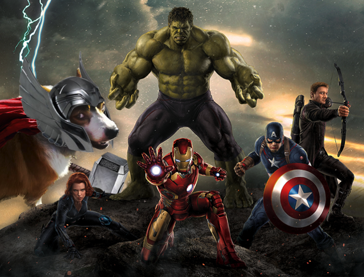 Batalla de Photoshop Corgi - the avangers