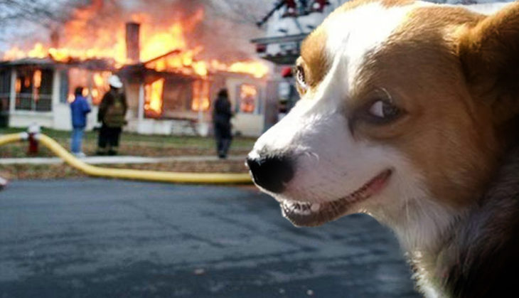 Batalla de Photoshop Corgi - Batalla de Photoshop Corgi - Casa en fuego al fondo