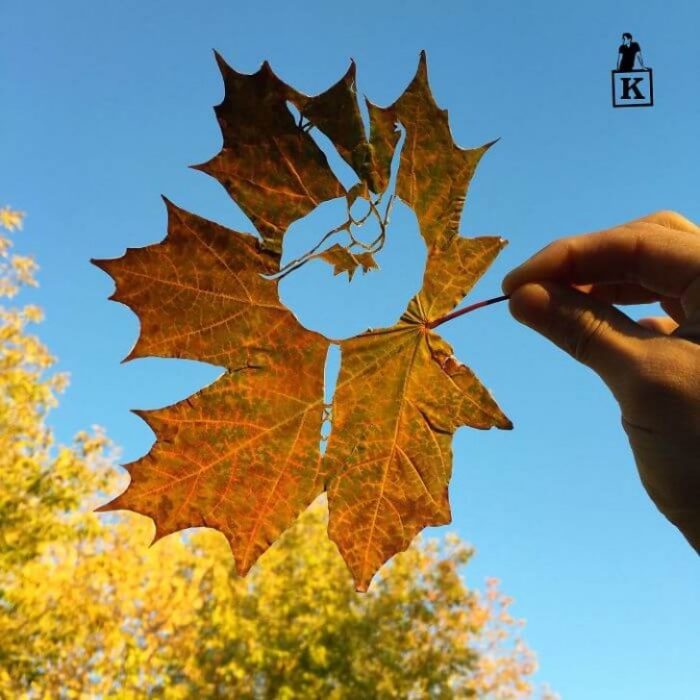 Dibujo realizado con una navaja en hoja de otoño