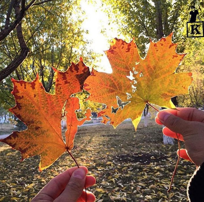 Dibujos en hojas de otoño