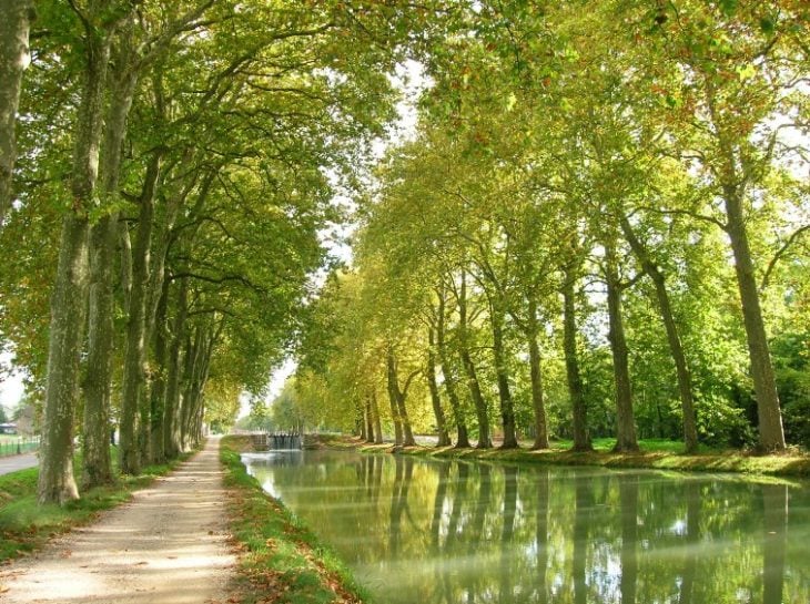 canal del medio día, francia