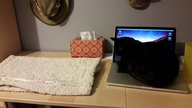 Un gato negro usando de cama una laptop