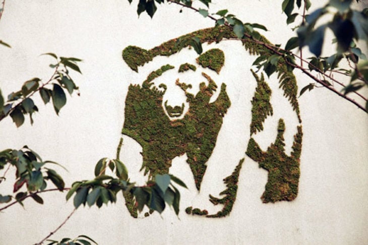 Oso en la pared pintado con musgo 