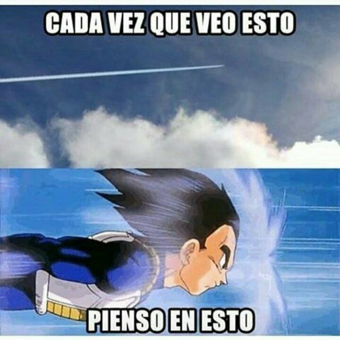 Vegeta volando