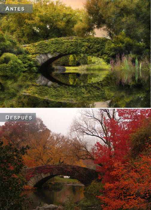Otoño - puente antes y después