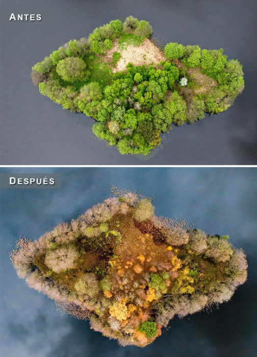 Otoño - isla antes y después