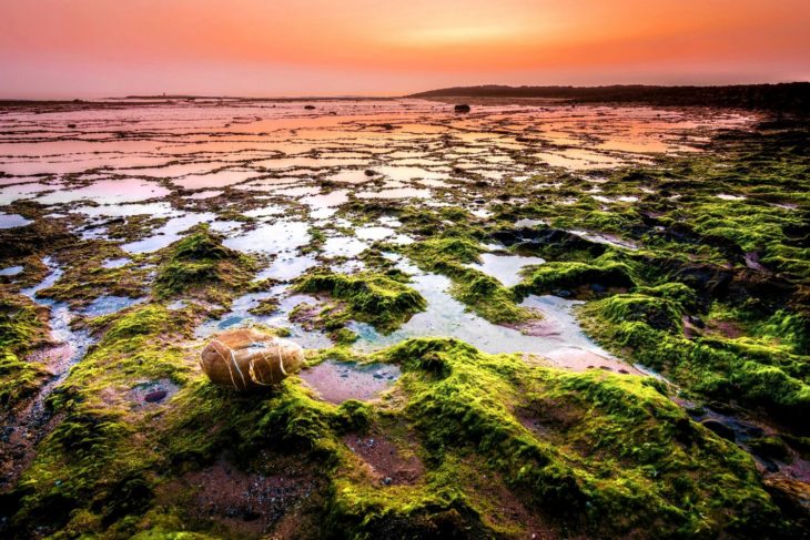 Playa en Portugal