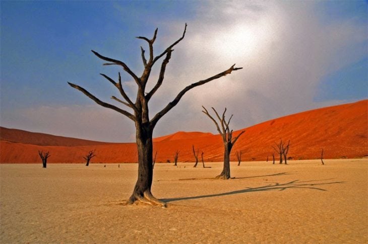 DeadVlei