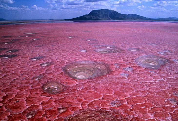  Lago Natron