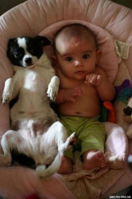 Bebé y perrito acostados